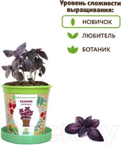 Изображение товара Набор для выращивания растений Happy Plant Базилик фиолетовый / hpn-5