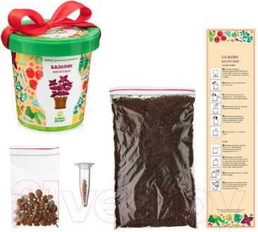 Изображение товара Набор для выращивания растений Happy Plant Базилик фиолетовый / hpn-5