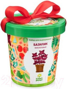 Изображение товара Набор для выращивания растений Happy Plant Базилик фиолетовый / hpn-5
