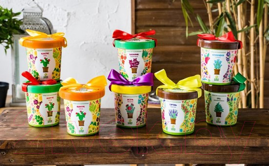 Изображение товара Набор для выращивания растений Happy Plant Ель необыкновенная / hpn-10