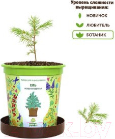 Изображение товара Набор для выращивания растений Happy Plant Ель необыкновенная / hpn-10