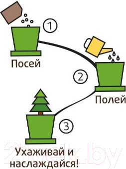 Изображение товара Набор для выращивания растений Happy Plant Ель необыкновенная / hpn-10