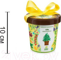 Изображение товара Набор для выращивания растений Happy Plant Ель необыкновенная / hpn-10