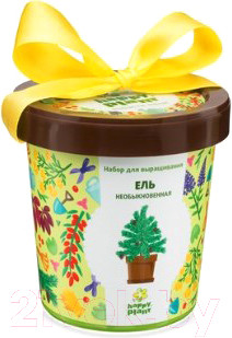 Изображение товара Набор для выращивания растений Happy Plant Ель необыкновенная / hpn-10