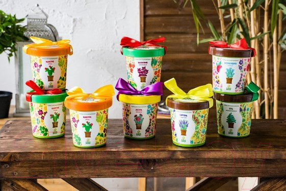 Изображение товара Набор для выращивания растений Happy Plant Лаванда ароматная / hpn-15