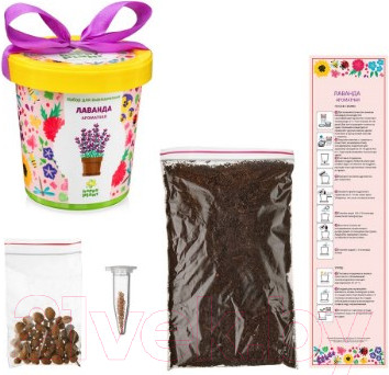 Изображение товара Набор для выращивания растений Happy Plant Лаванда ароматная / hpn-15