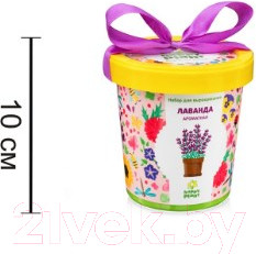 Изображение товара Набор для выращивания растений Happy Plant Лаванда ароматная / hpn-15