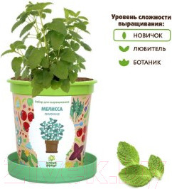 Изображение товара Набор для выращивания растений Happy Plant Мелисса лимонная / hpn-4