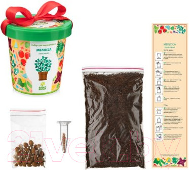Изображение товара Набор для выращивания растений Happy Plant Мелисса лимонная / hpn-4