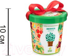 Изображение товара Набор для выращивания растений Happy Plant Мелисса лимонная / hpn-4