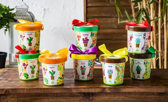 Изображение товара Набор для выращивания растений Happy Plant Огурец корнишон / hpn-19