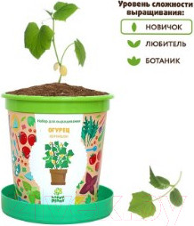 Изображение товара Набор для выращивания растений Happy Plant Огурец корнишон / hpn-19