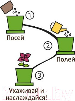 Изображение товара Набор для выращивания растений Happy Plant Огурец корнишон / hpn-19