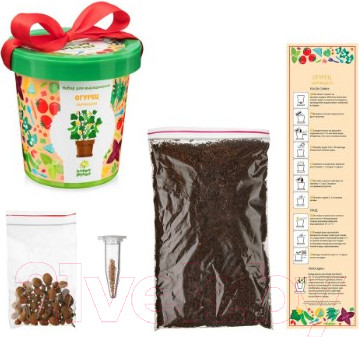 Изображение товара Набор для выращивания растений Happy Plant Огурец корнишон / hpn-19