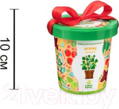 Изображение товара Набор для выращивания растений Happy Plant Огурец корнишон / hpn-19