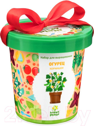 Изображение товара Набор для выращивания растений Happy Plant Огурец корнишон / hpn-19