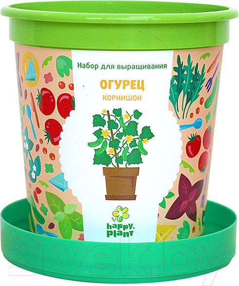 Изображение товара Набор для выращивания растений Happy Plant Огурец корнишон / hpn-19