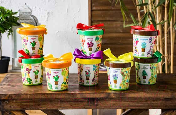 Изображение товара Набор для выращивания растений Happy Plant Руккола пряная / hpn-16