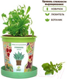 Изображение товара Набор для выращивания растений Happy Plant Руккола пряная / hpn-16
