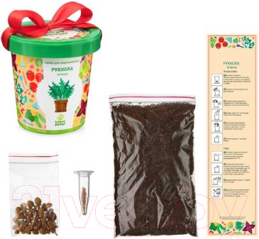 Изображение товара Набор для выращивания растений Happy Plant Руккола пряная / hpn-16