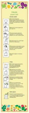 Изображение товара Набор для выращивания растений Happy Plant Табак душистый / hpn-11