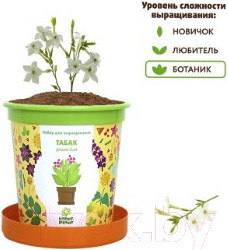 Изображение товара Набор для выращивания растений Happy Plant Табак душистый / hpn-11