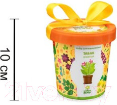 Изображение товара Набор для выращивания растений Happy Plant Табак душистый / hpn-11