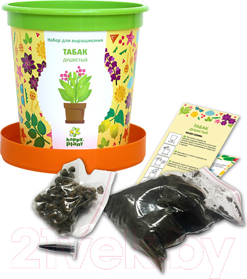 Изображение товара Набор для выращивания растений Happy Plant Табак душистый / hpn-11