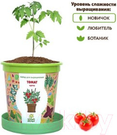 Изображение товара Набор для выращивания растений Happy Plant Томат черри / hpn-7