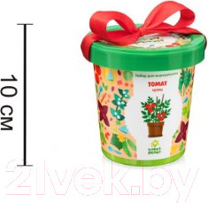 Изображение товара Набор для выращивания растений Happy Plant Томат черри / hpn-7