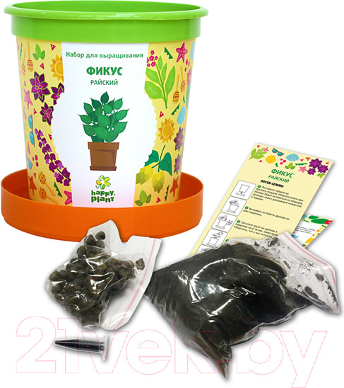 Изображение товара Набор для выращивания растений Happy Plant Фикус райский / hpn-12