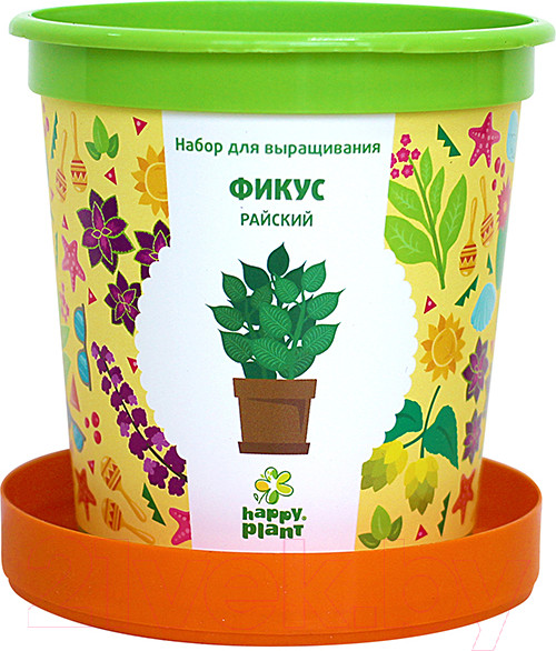 Изображение товара Набор для выращивания растений Happy Plant Фикус райский / hpn-12