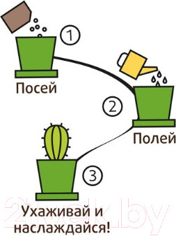 Изображение товара Набор для выращивания растений Happy Plant Фикус райский / hpn-12