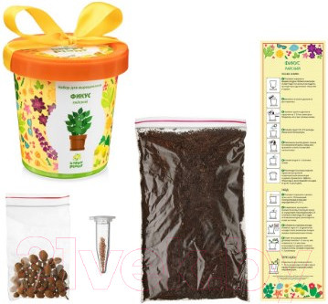 Изображение товара Набор для выращивания растений Happy Plant Фикус райский / hpn-12