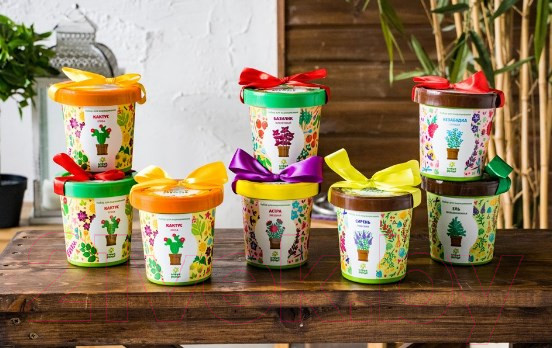 Изображение товара Набор для выращивания растений Happy Plant Ягоды Годжи / hpn-18