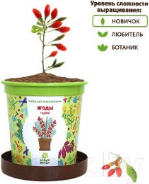Изображение товара Набор для выращивания растений Happy Plant Ягоды Годжи / hpn-18