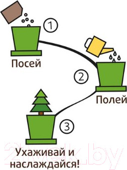Изображение товара Набор для выращивания растений Happy Plant Ягоды Годжи / hpn-18