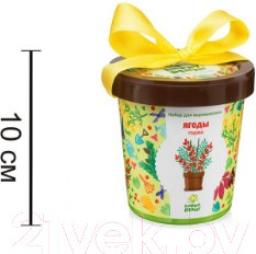 Изображение товара Набор для выращивания растений Happy Plant Ягоды Годжи / hpn-18