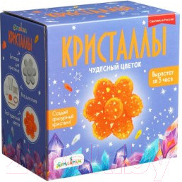 Изображение товара Набор для опытов Bumbaram Фигурный Кристалл Цветок оранжевый / A128