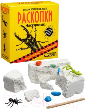 Изображение товара Набор для опытов Bumbaram Набор для проведения раскопок. Насекомые / dig-30