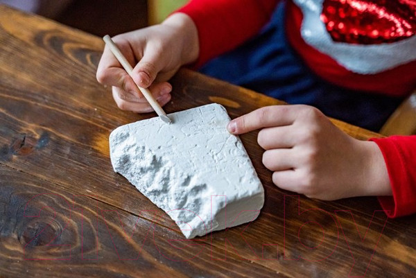 Изображение товара Набор для опытов Bumbaram Набор для проведения раскопок. Насекомые / dig-30