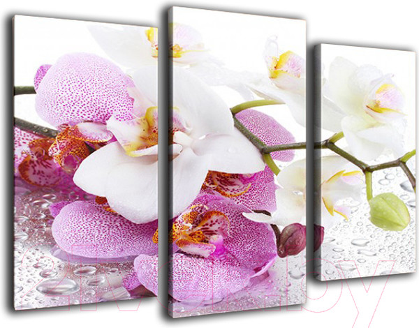 Изображение товара Картина модульная Arthata m-000758 (120x80)