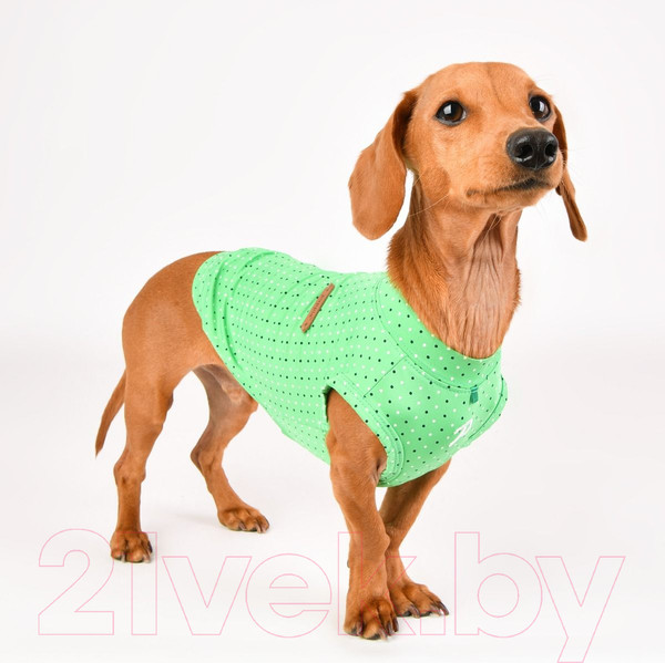 Изображение товара Футболка для животных Puppia Bonnie / PAVA-TS1904-GR (S, зеленый)