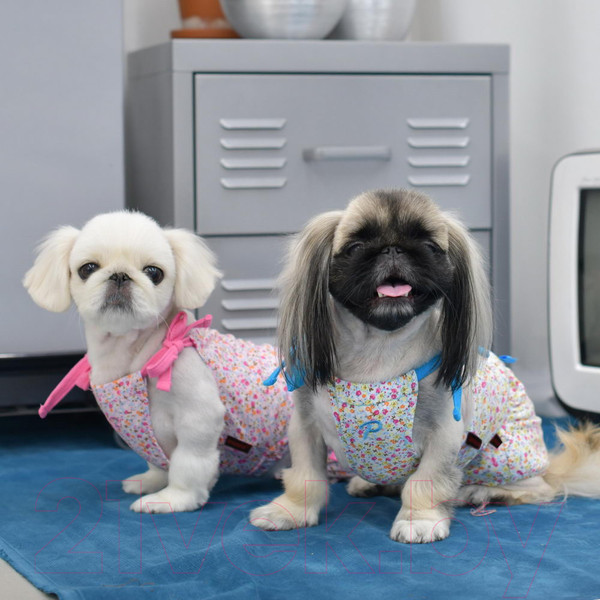 Изображение товара Футболка для животных Puppia WildFlower / PAUB-TS1806-SB (L, голубой)