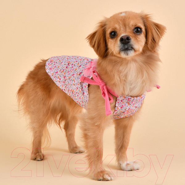 Изображение товара Футболка для животных Puppia WildFlower / PAUB-TS1806-PK (S, розовый)