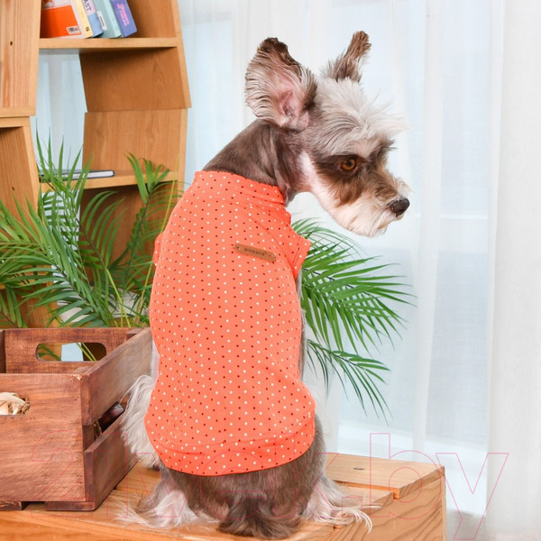 Изображение товара Футболка для животных Puppia Bonnie / PAVA-TS1904-OR (S, оранжевый)