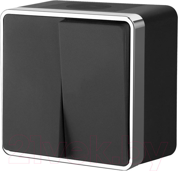 Изображение товара Выключатель Werkel Gallant W5020235 (черный/хром)