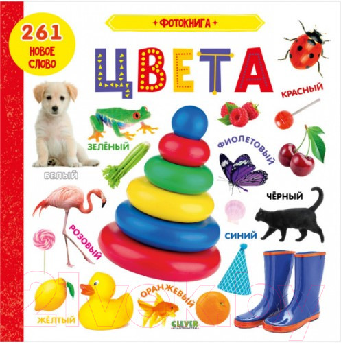 Изображение товара Развивающая книга CLEVER Фотокнига. Цвета