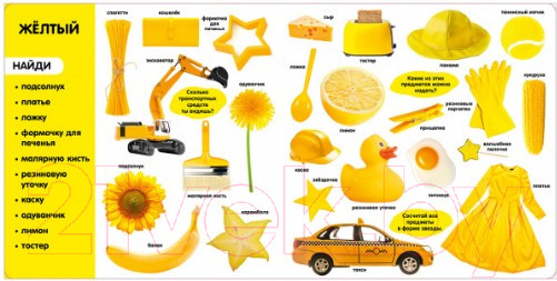 Изображение товара Развивающая книга CLEVER Фотокнига. Цвета