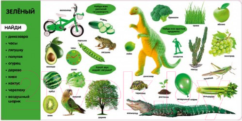 Изображение товара Развивающая книга CLEVER Фотокнига. Цвета